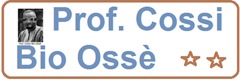 cossi bio osse3