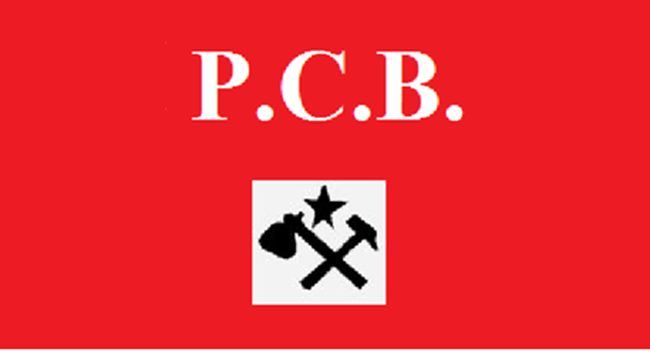 pcb1