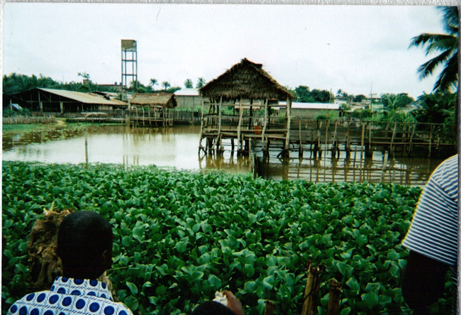 3 images du bénin 2014a2